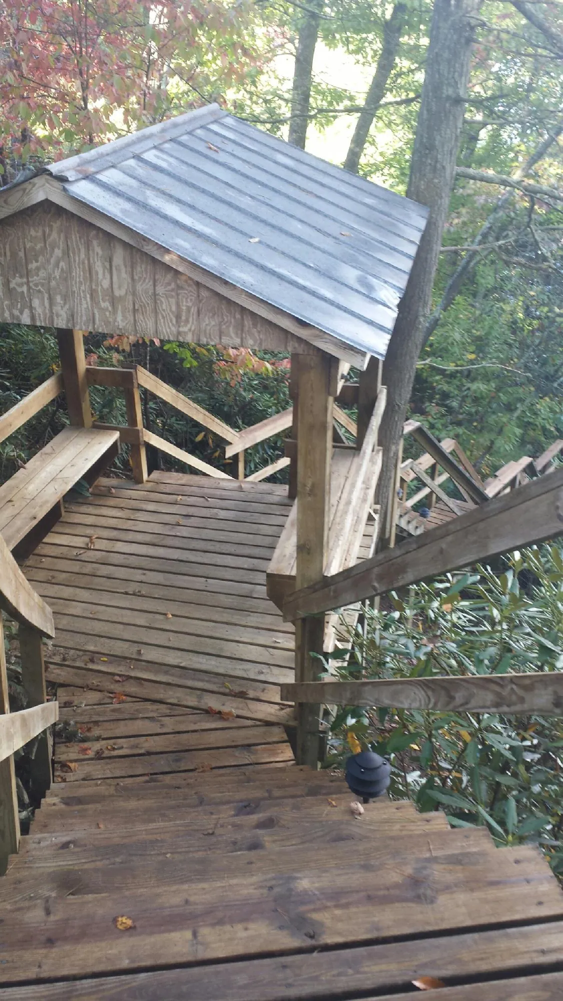 Metal roofed shelter over wooden steps on a wooded walkway — Skylight Repair & Installation work by our crew in Forest Ranch