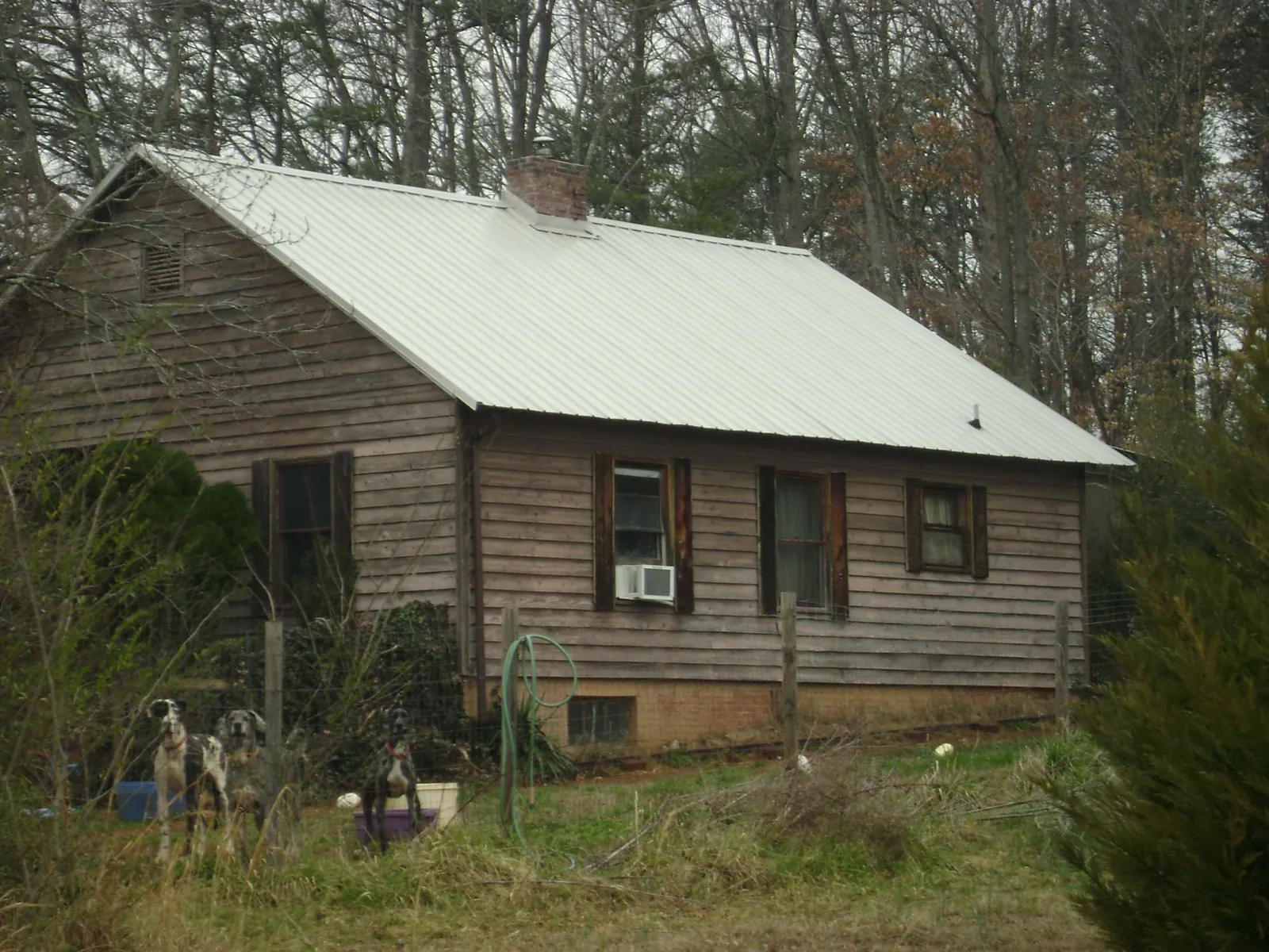White metal roof on an old wood sided farmhouse, from a Asphalt Shingle Roof Repair job in Forest Ranch